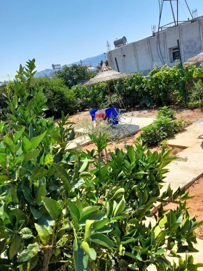 Rey Garden Villa Vlorë Exteriör bild